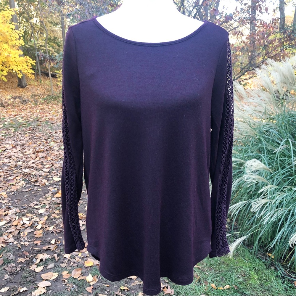 Max Jeans Embroidered Open Back Sweater